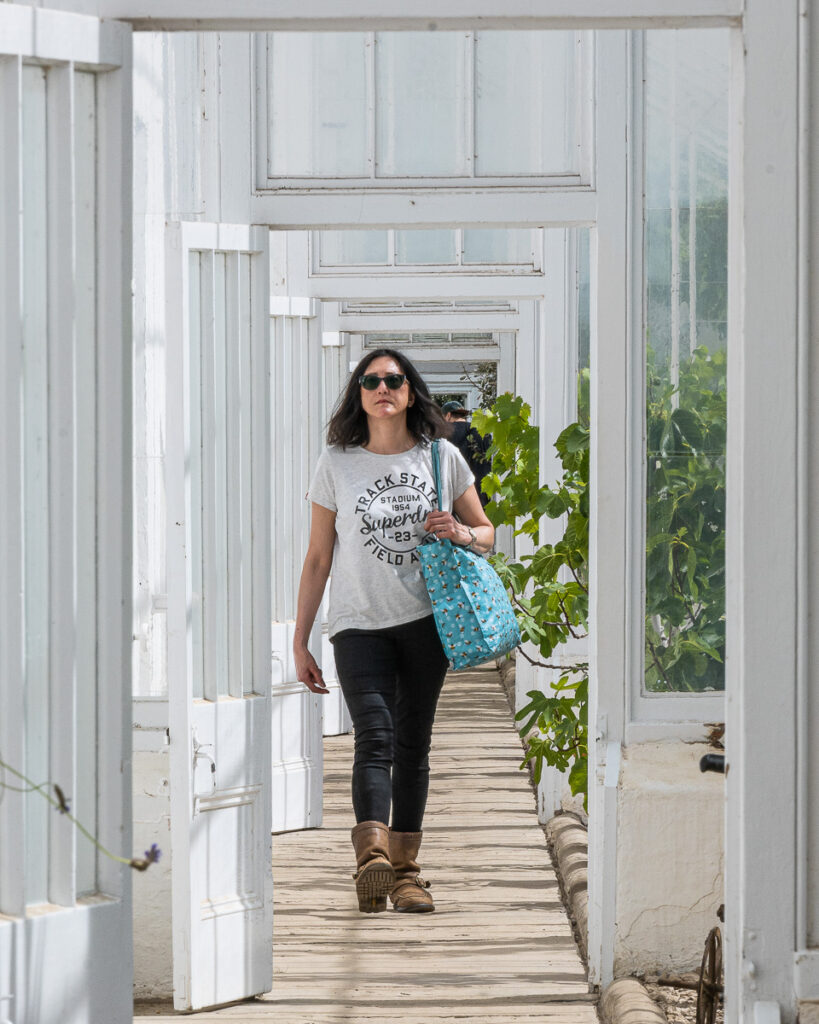Lady walking down the glasshouse at Clumber Park Walled Garden
