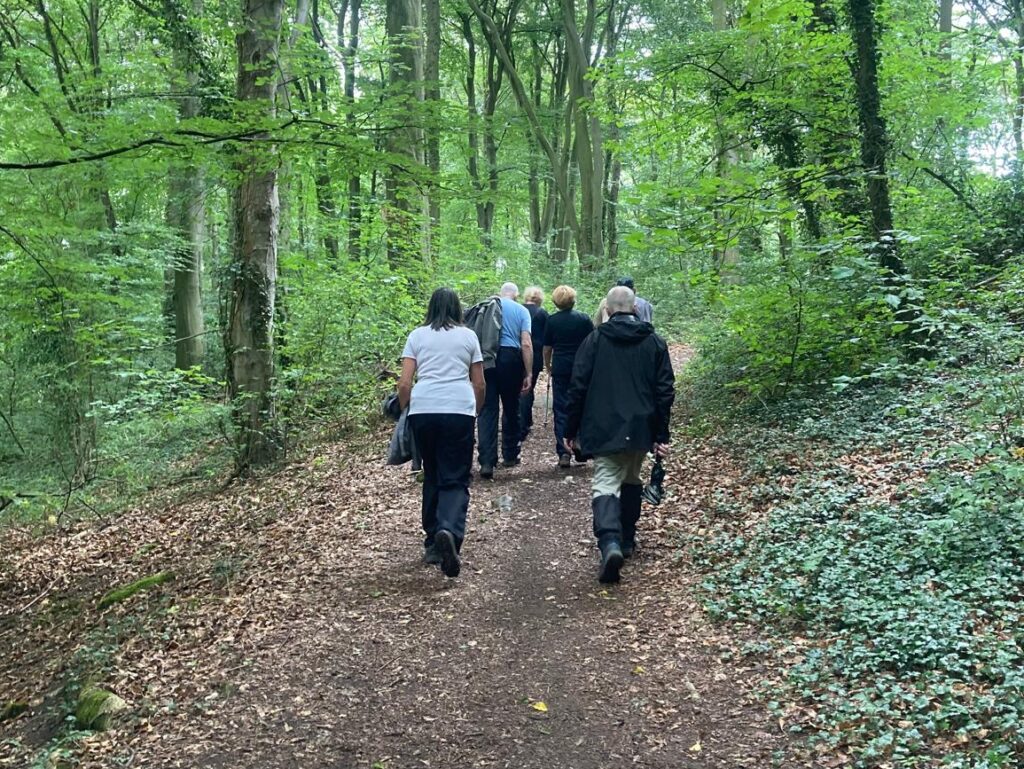Walking through woodland