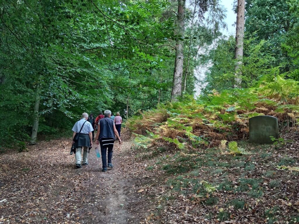 u3a Group Walking in Clumber Park